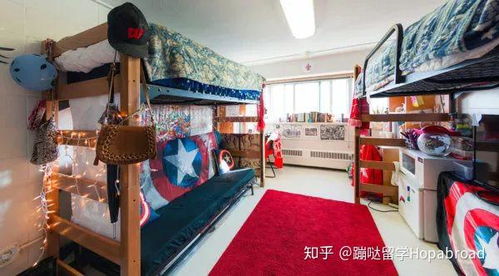 舌尖上的威斯康星 麦迪逊分校快餐文化中的学术与活力